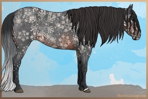 Horse Color:Brown Roan 