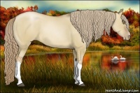 Horse Color:Liver Red Dun Pearl