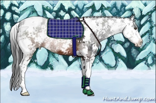 Horse Color:Brown Sabino