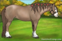 Horse Color:Black Pearl Splash 