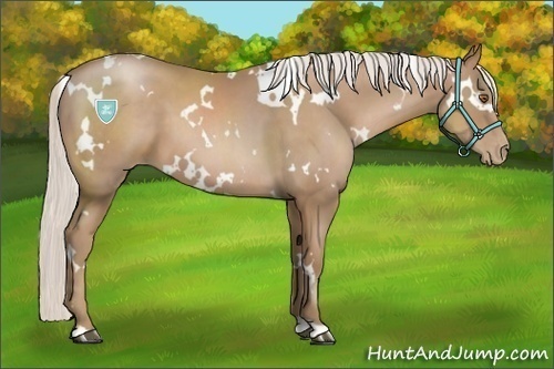 Horse Color:White Spotted Silver Black Pearl 