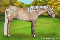 Horse Color:White Spotted Silver Black Pearl 