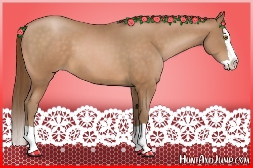 Horse Color:Bay Pearl Splash 
