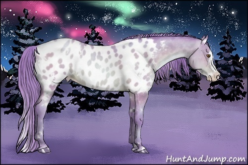 Horse Color:Watercolor White Spotted Bay Pearl Sabino Splash Appaloosa 