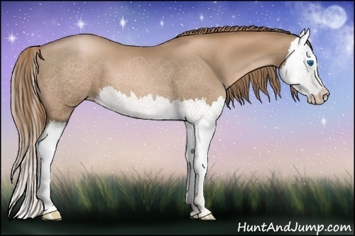 Horse Color:Liver Chestnut Pearl Splash 