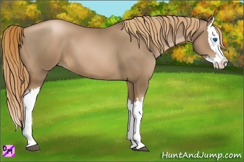 Horse Color:Liver Chestnut Pearl Splash