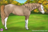 Horse Color:Liver Chestnut Pearl Splash