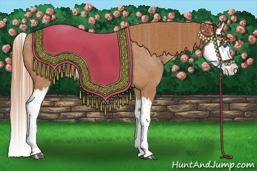 Horse Color:Chestnut Splash Varnish 