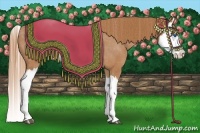 Horse Color:Chestnut Splash Varnish 