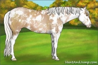 Horse Color:Silver Black Pearl Sabino