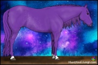 Horse Color:Watercolor Black Rabicano 