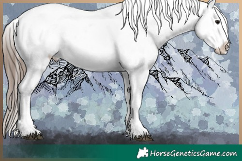 Horse Color:White Spotted Blue Ice Roan Splash Frame Appaloosa 
