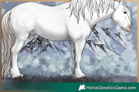 Horse Color:White Spotted Blue Ice Roan Splash Frame Appaloosa