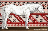 Horse Color:Chocolate Palomino Pearl Mushroom Near Leopard