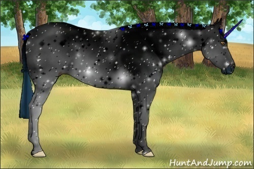 Horse Color:ERROR: UNKNOWN ANOMALY