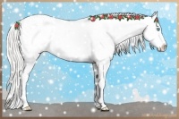 Horse Color:Cremello Varnish