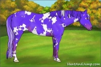 Horse Color:Watercolor White Spotted Liver Chestnut