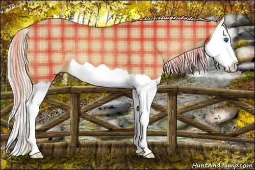 Horse Color:Plaid  Palomino Splash 