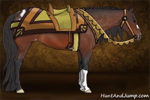 Horse Color:Bay Varnish