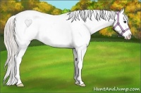 Horse Color:Silver Black Sabino Splash Appaloosa 