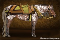 Horse Color:Chestnut and Bay Blanket