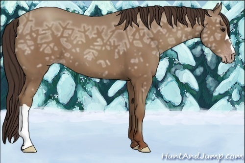 Horse Color:Classic Champagne Ice 