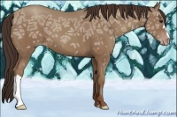 Horse Color:Classic Champagne Ice 