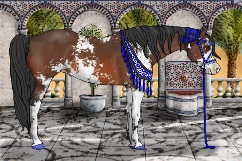 Horse Color:Bay Sabino 