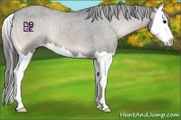 Horse Color:Blue Onyx Splash Varnish