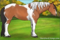 Horse Color:Bay Tobiano