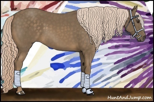 Horse Color:Chocolate Palomino 