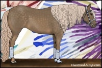 Horse Color:Chocolate Palomino 