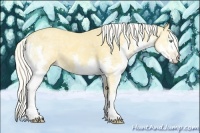 Horse Color:Silver Amber Cream Champagne Ice Splash 