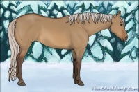 Horse Color:Silver Bay Dun Sabino Rabicano 