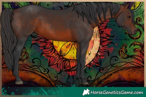 Horse Color:Brown 