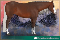 Horse Color:Silver Brown 