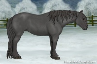 Horse Color:Smoky Blue Roan 