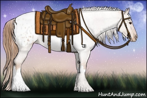 Horse Color:Red Roan Appaloosa 