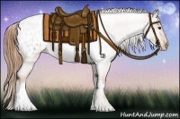 Horse Color:Red Roan Appaloosa