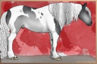 Horse Color:Silver Brown Chinchilla Tobiano 