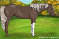 Horse Color:Silver Black 
