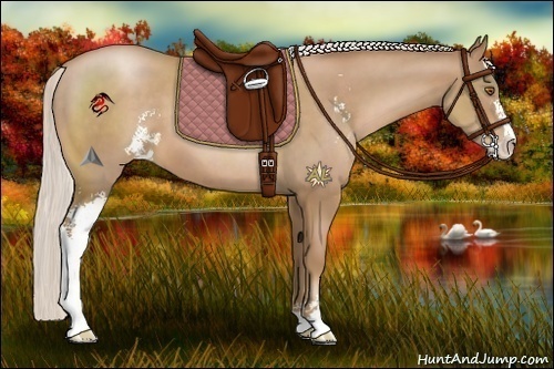 Horse Color:Silver Black Pearl Sabino