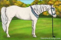 Horse Color:Cremello Ice