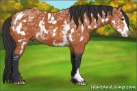 Horse Color:White Spotted Bay Ice Splash Frame