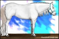 Horse Color:White Spotted Liver Chestnut Pearl Varnish 
