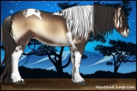 Horse Color:Liver Red Onyx Tobiano 