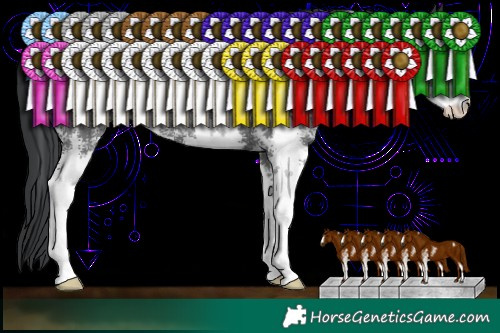 Horse Color:Black Sabino Rabicano 