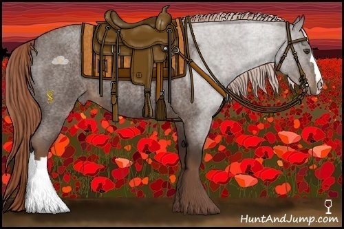 Horse Color:Liver Red Roan 