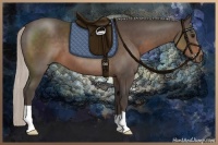 Horse Color:Silver Black 