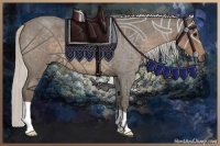 Horse Color:Silver Smoky Blue Roan 